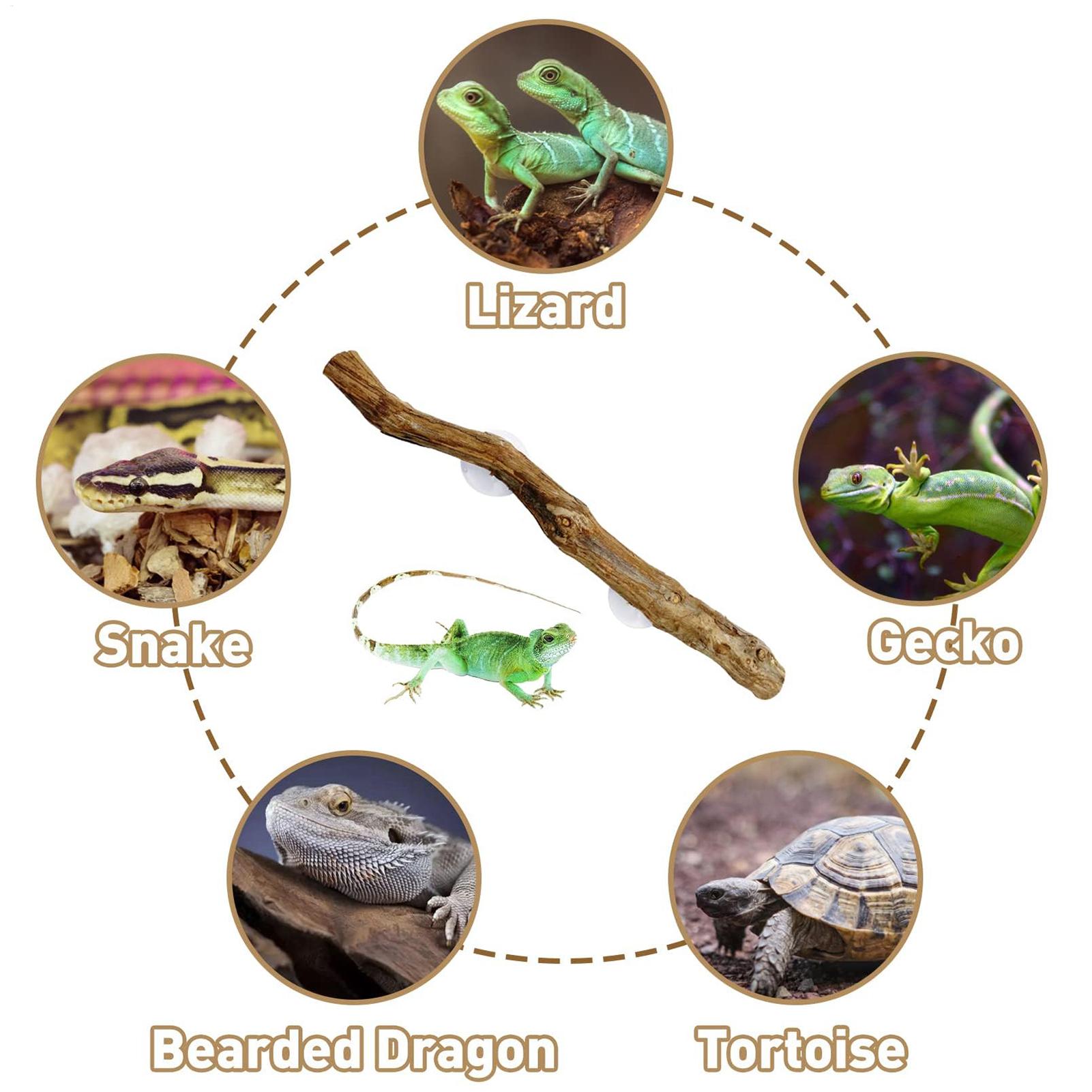 Home Decor Habitat - Holz-Schlangen-Kletterstange Reptilien-Kletterecke Rutschfeste Habitat-Dekorationen für Eidechsen