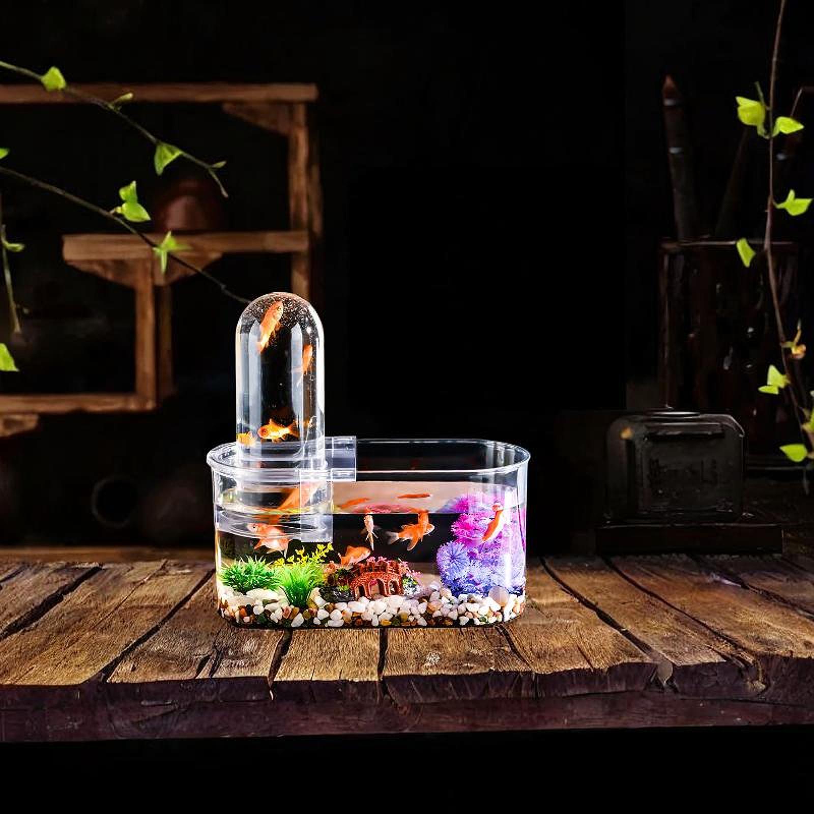 Home Decor Habitat - Mini-Aquarium, robust, mit Belüftungslöchern, Amphibien-Futterbox mit