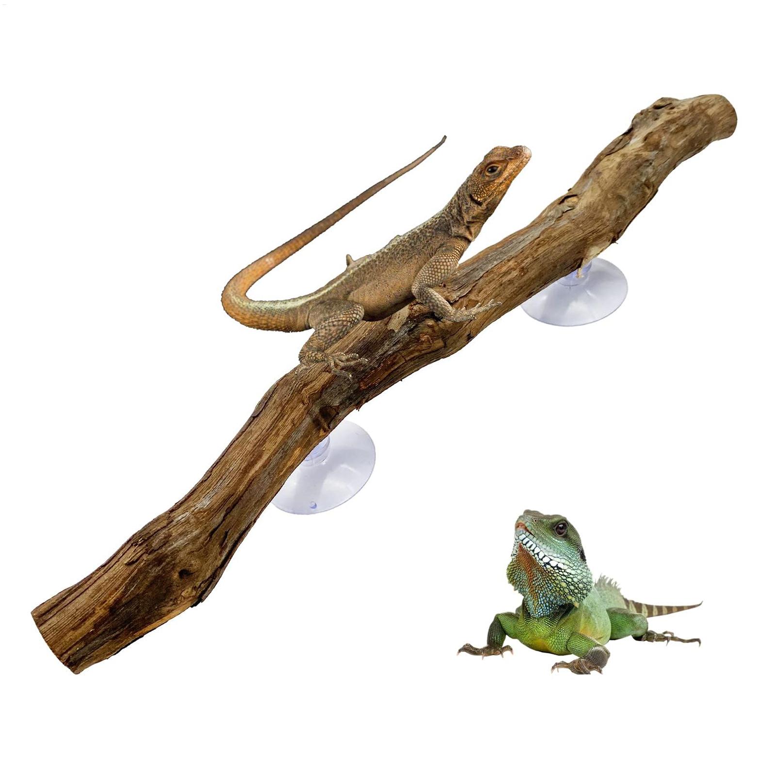 Home Decor Habitat - Reptilien-Kletterecke Rutschfeste Reptilienzweige Terrarium-Zweige Reptilien-Deko Holzstamm-Ornament
