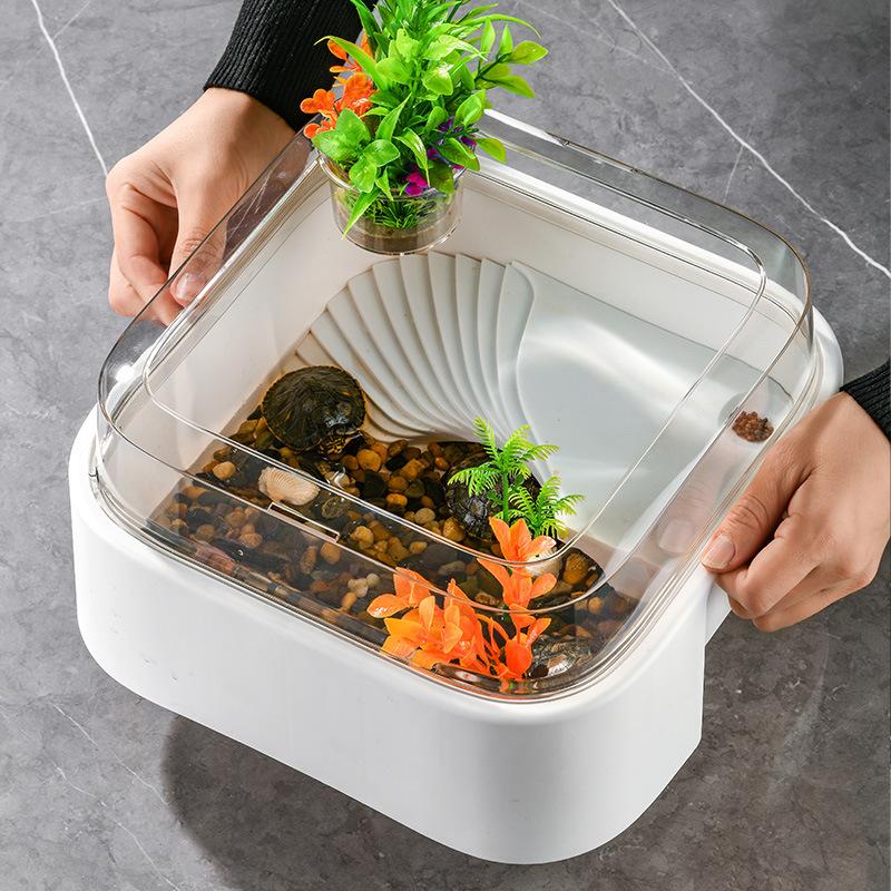 Transparente Schildkröten-Terr – Home Decor Habitat Bewertung und Preis