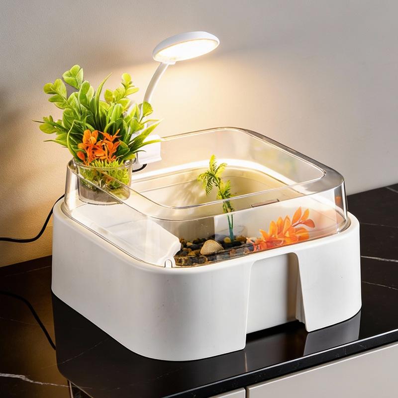 Neues Transparentes Schildkröt – Home Decor Habitat Bewertung und Preis