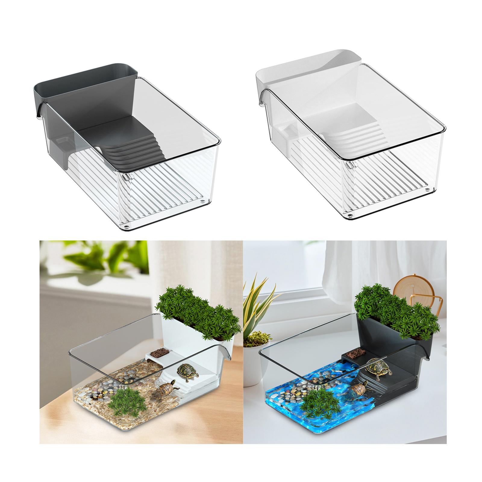 Kleiner Schildkrötenpanzer, Re – Home Decor Habitat Bewertung und Preis
