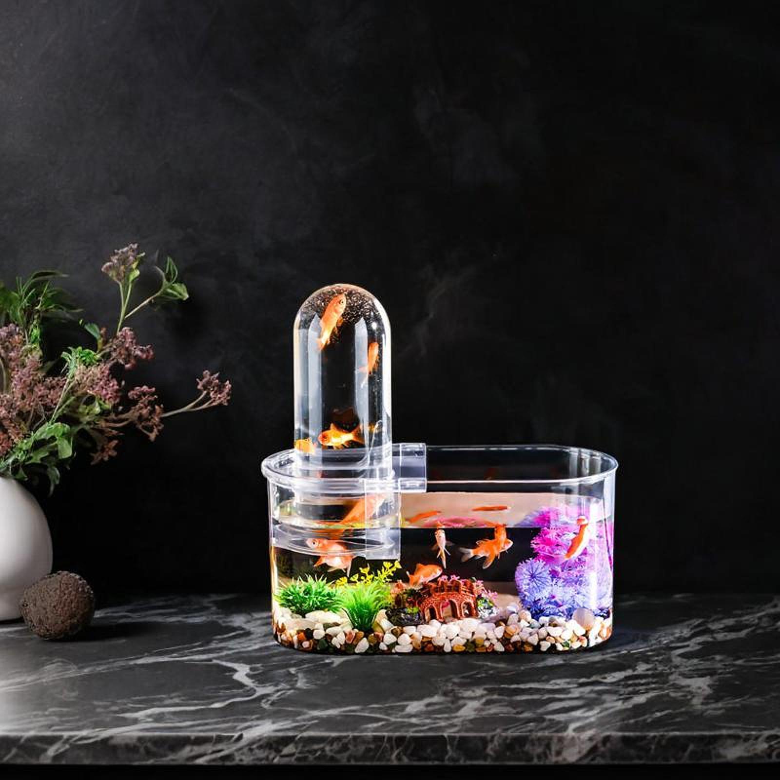 Mini-Aquarium, robust, mit Bel – Home Decor Habitat Bewertung und Preis
