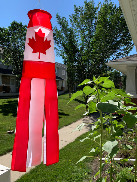 Direkte Lieferung 2 Stück 100% – Home Decor Canada Bewertung und Preis