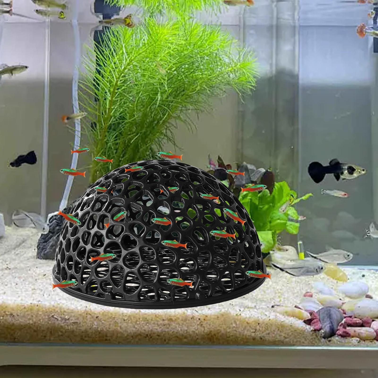 Garnelen-Zuchthöhle Aquarium G – Home Decor Habitat Bewertung und Preis