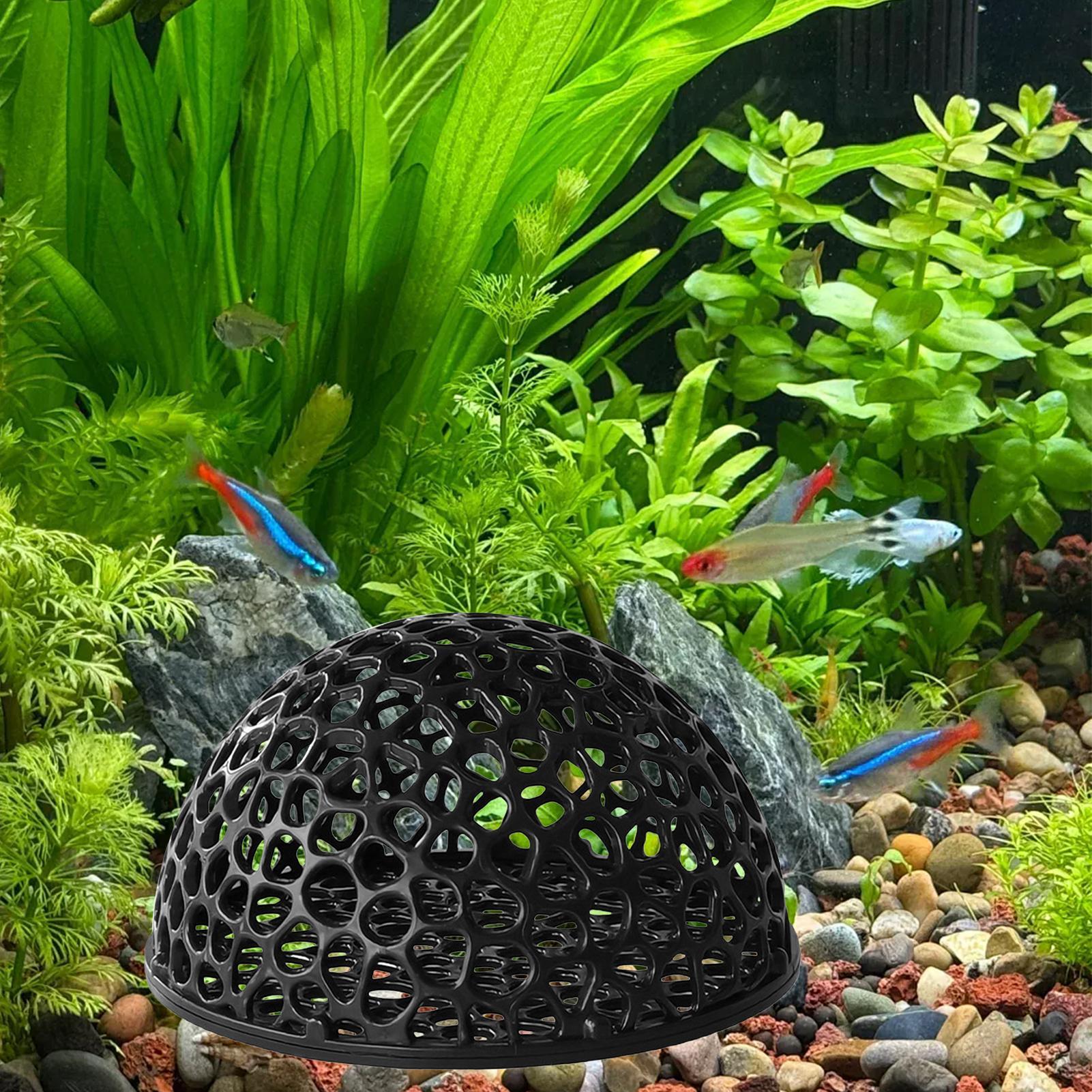 Garnelen-Zuchthöhle Aquarium G – Home Decor Habitat Bewertung und Preis
