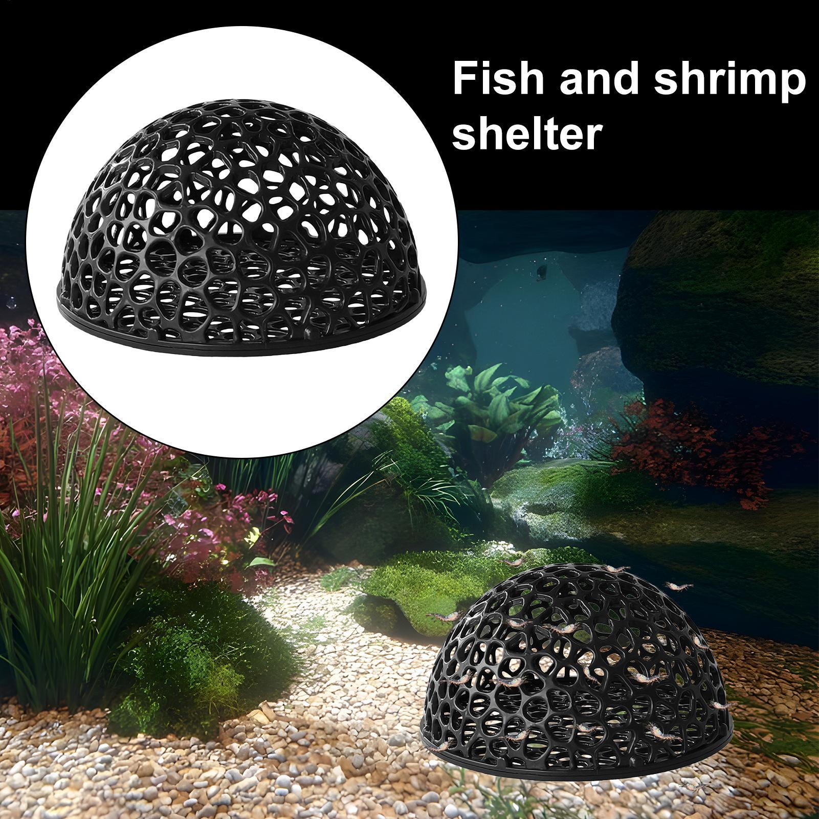 Garnelen-Zuchthöhle Aquarium G – Home Decor Habitat Bewertung und Preis