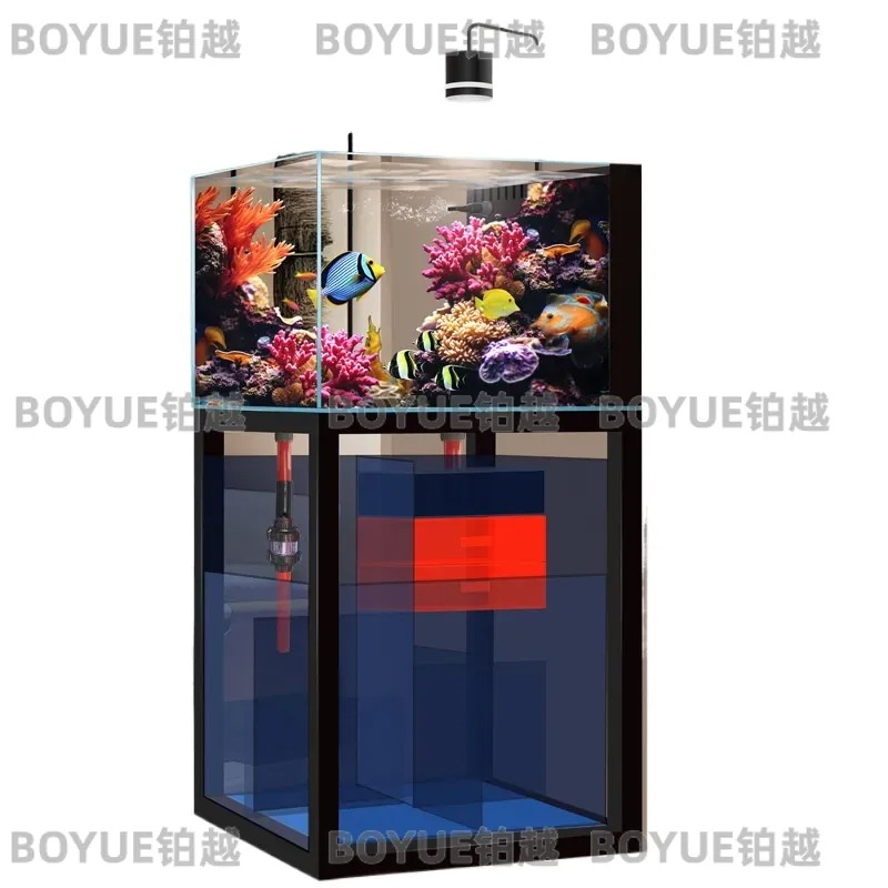 Ultraklares Glas-Salzwasser-Aq – Home Decor Habitat Bewertung und Preis