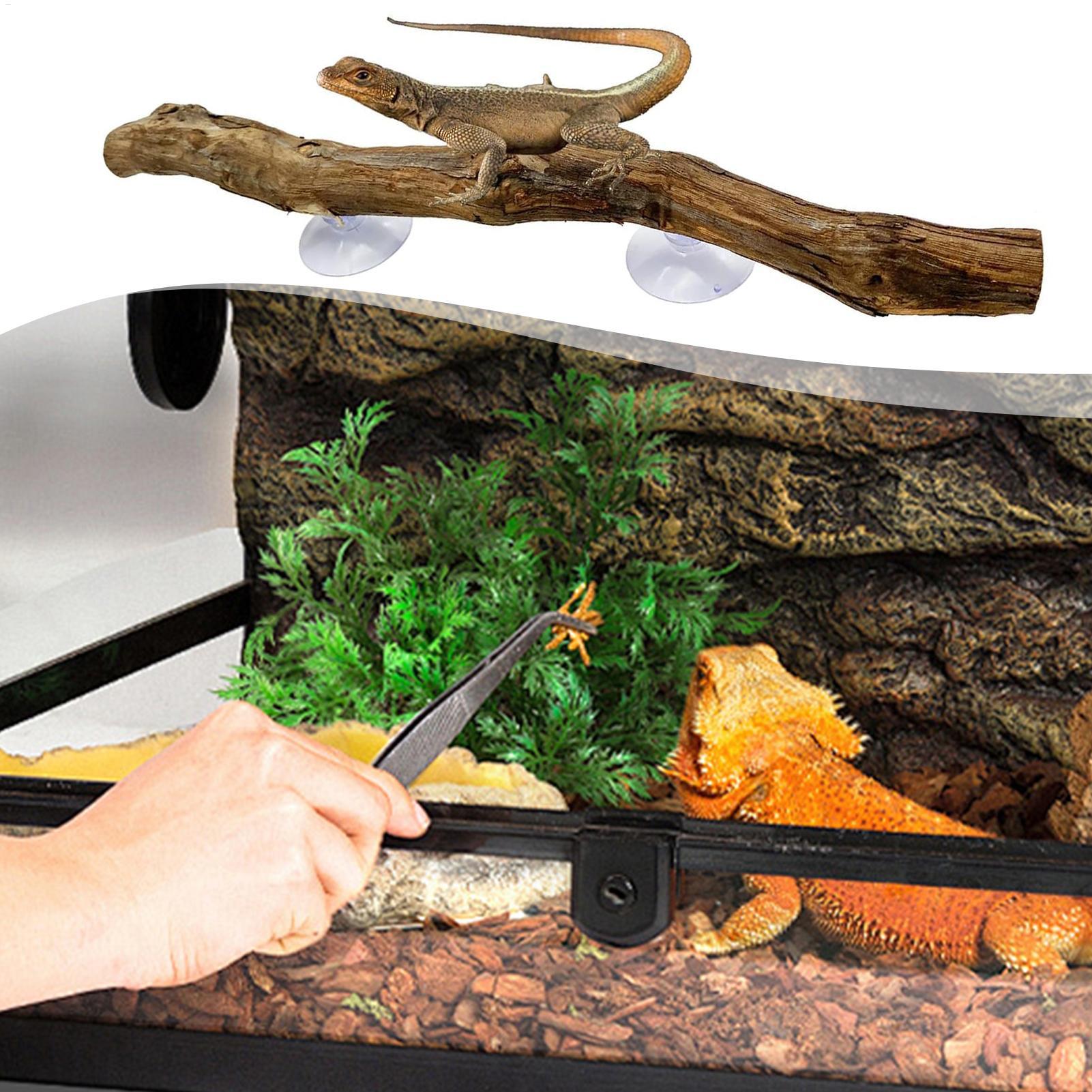 Reptilien-Kletterecke Rutschfe – Home Decor Habitat Bewertung und Preis