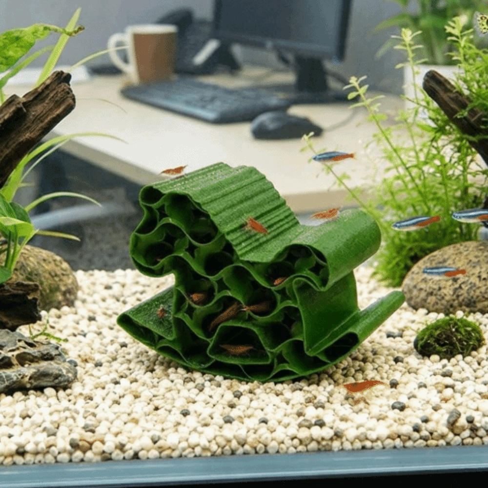 Kreatives 3D-gedrucktes Fisch- – Home Decor Habitat Bewertung und Preis