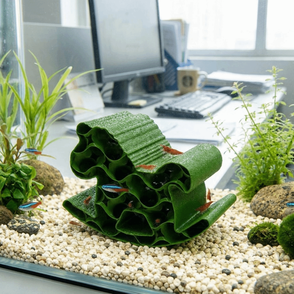 Kreatives 3D-gedrucktes Fisch- – Home Decor Habitat Bewertung und Preis